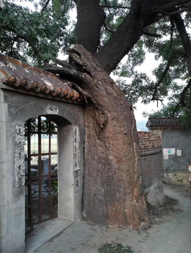 有个被誉为民间故宫的景区,被称为民间的故宫