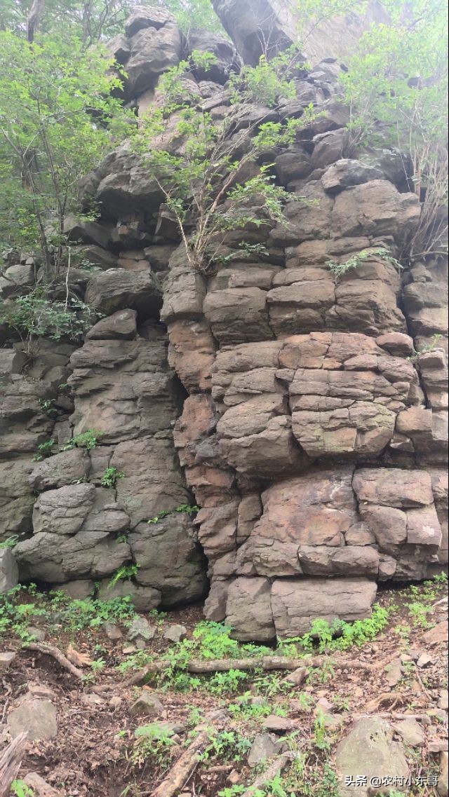 全国一村一品示范村镇第九批,全国一村一品示范村镇名单公布