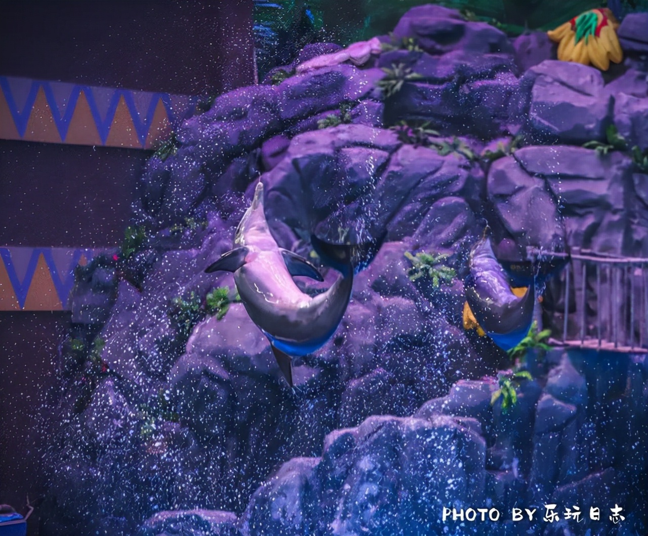 来珠海旅游必打卡的景点,春节珠海亲子游玩地方推荐