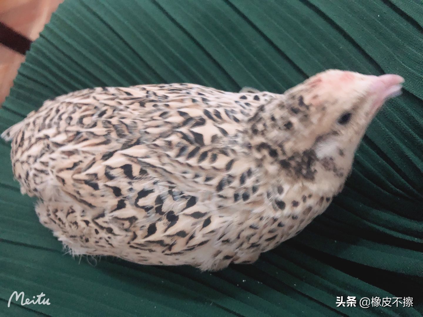 生而为妈，一个小学生的生日蛋糕能有多尬