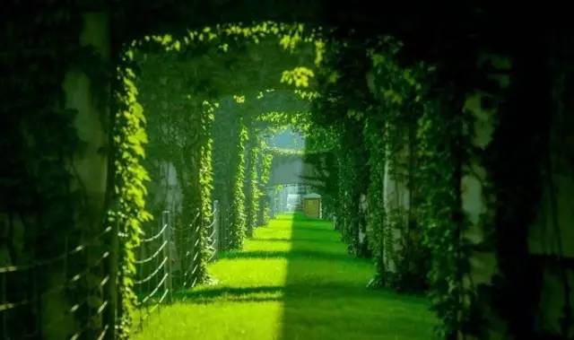 成都拍摄风景好的地方,成都周六周日拍照圣地