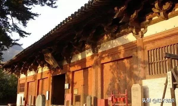 木蜡和蜂蜡的区别,木蜡油和蜂蜡有什么区别