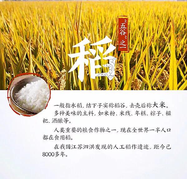 涨知识涨见识诗词,涨知识古代文明