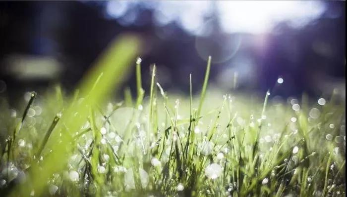 为什么很多病没有药治愈,11条鱼解毒治病与调理哪个更重要