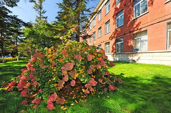 吉林市体仁医院招康复治疗师,吉林医药学院附属医院招聘