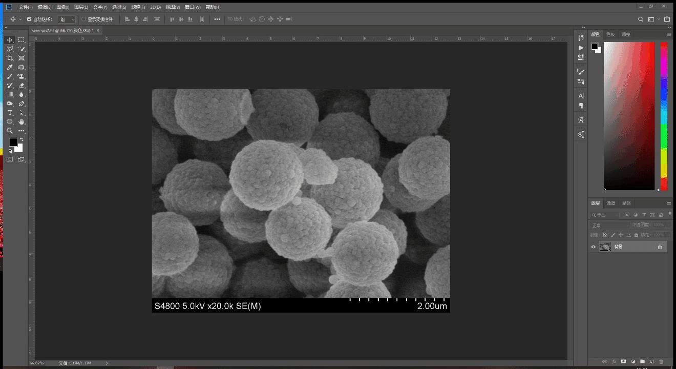 photoshop怎么给扫描电镜做标尺,用photoshop处理电镜图