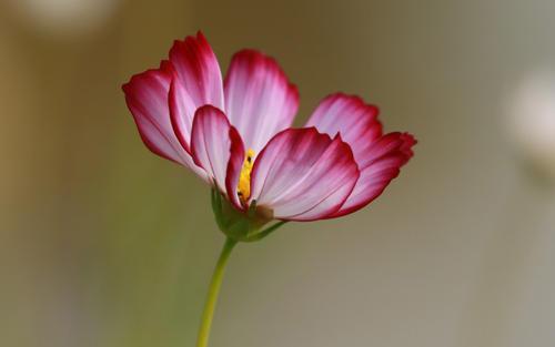 吵架了怎么破冰恢复联系,吵架好了怎么破冰