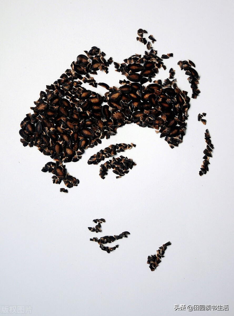 好看的皮囊有哪些优势,好看的皮囊和有趣的灵魂哪个重要