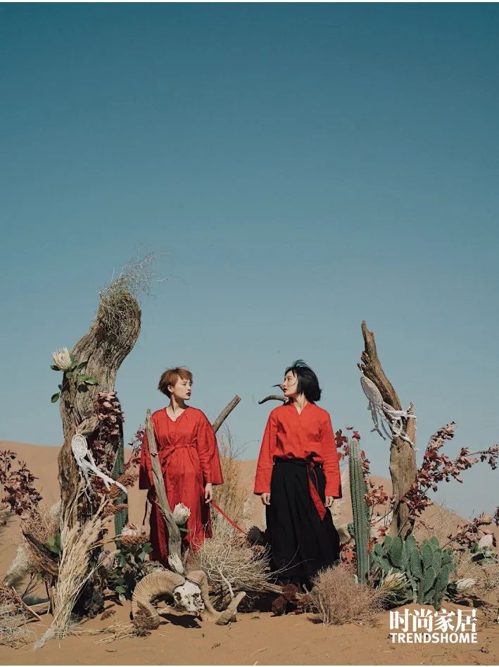 了不起的创业姐妹，飒