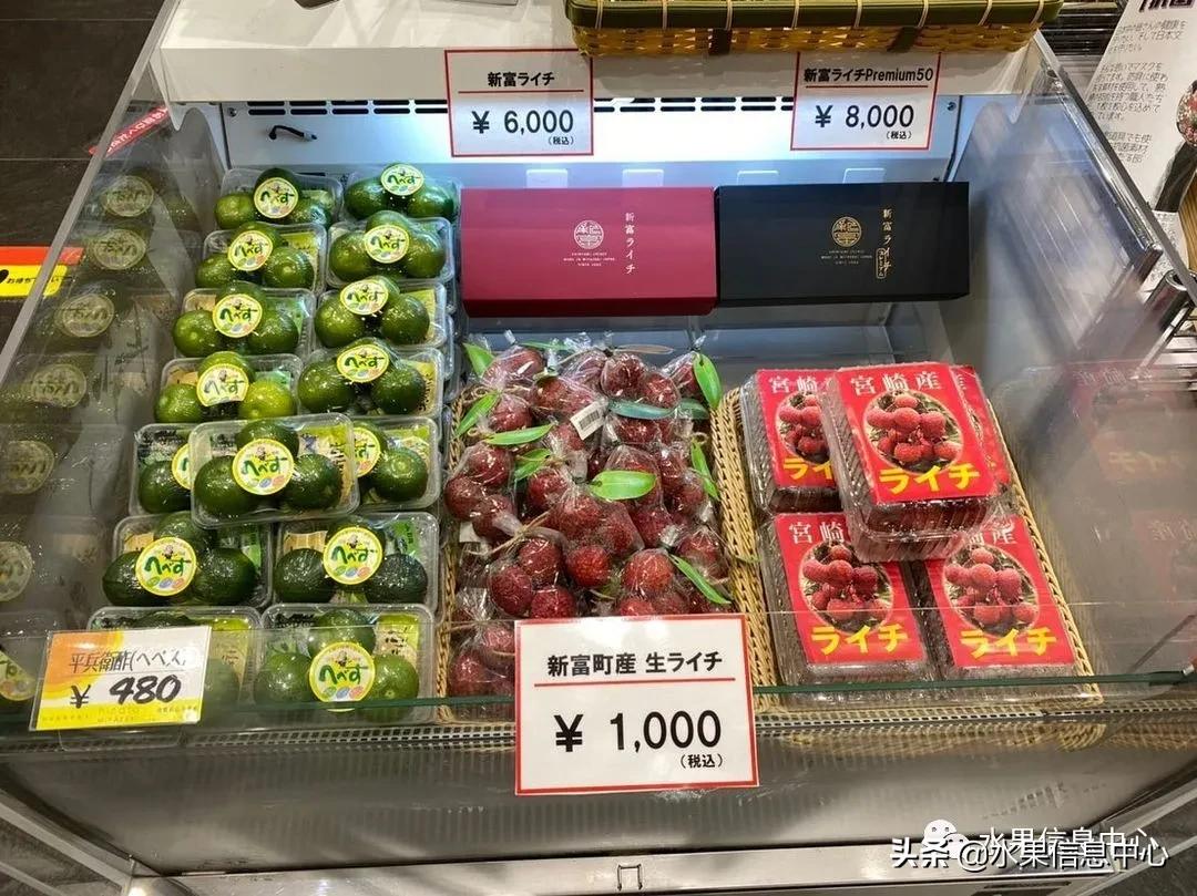 日本农业发达到什么程度?荔枝、香蕉、菠萝竟然用温室来种