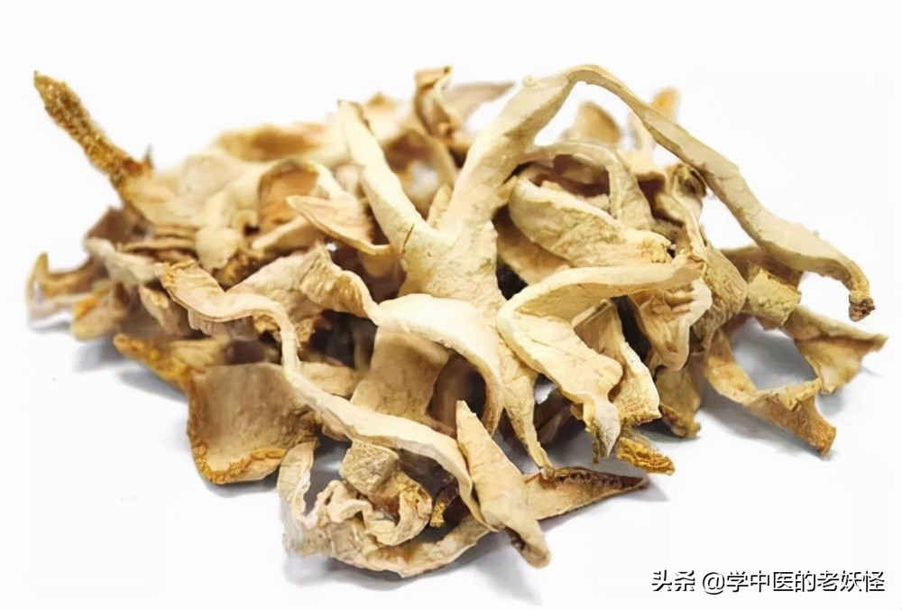 每日学习一味中药陈皮,每日学一味中药