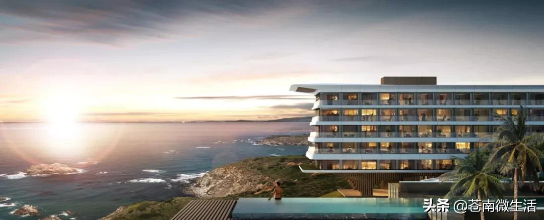 苍南渔寮湾规划图,苍南渔寮项目