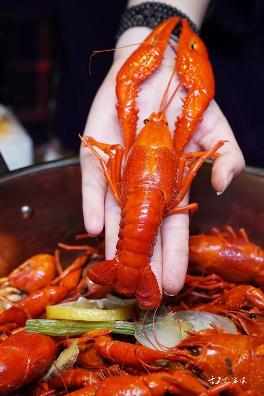 宁波生蚝店铺推荐,宁波高压锅生蚝龙虾
