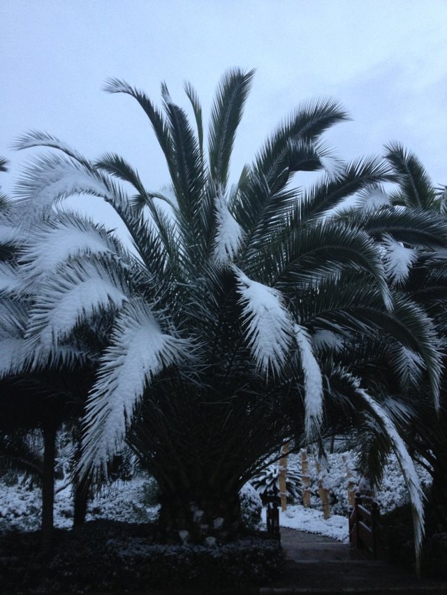 云南山歌昆明有个世博园,云南昆明世博园关闭了吗