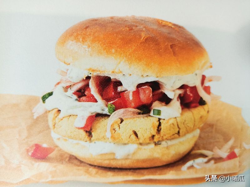 汉堡包是健康食品还是垃圾食品,汉堡包是不是有害食品