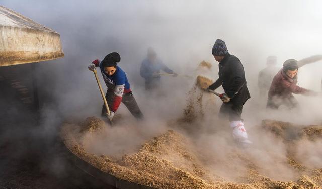 湖北“酒王”易主白云边，一年狂卖50亿，甩稻花香、枝江几条街