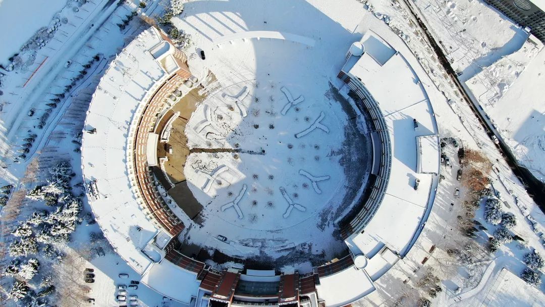 高考考入大连海事大学,大连海事大学高考2020