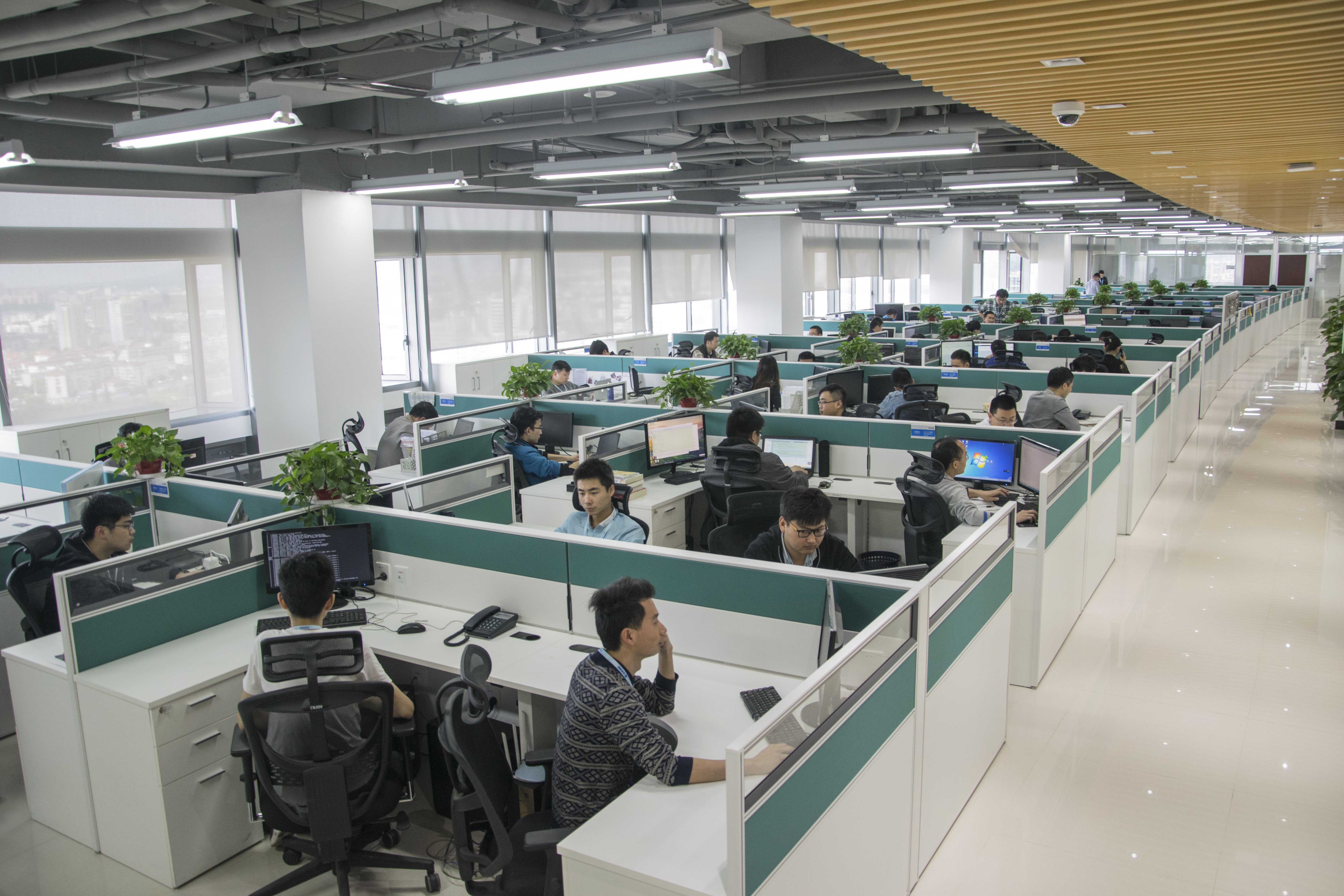 中孚信息一季度报解读,中孚信息一季报