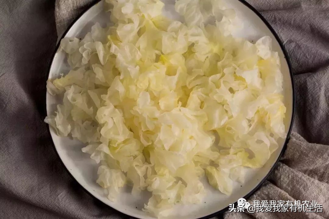 怎么把银耳煮得软糯出胶,银耳怎么煮才容易出胶的窍门