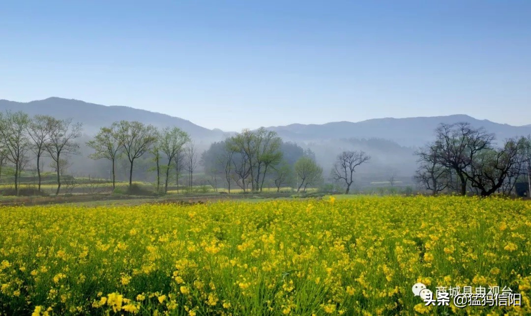 美丽中国信阳商城,信阳美在哪里图片