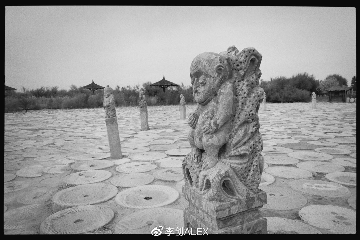 来宁夏玩的攻略,从宁夏去内蒙怎么玩