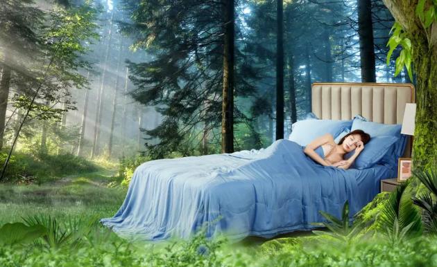 杭州蚕丝被哪个品牌最好,杭州蚕丝被品牌十大排名