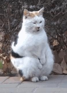 防寒保暖寒冬必备神器,抗寒神器零下40度