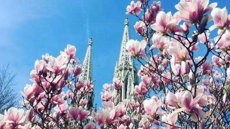 古代奥地利,不同年代的奥地利维也纳