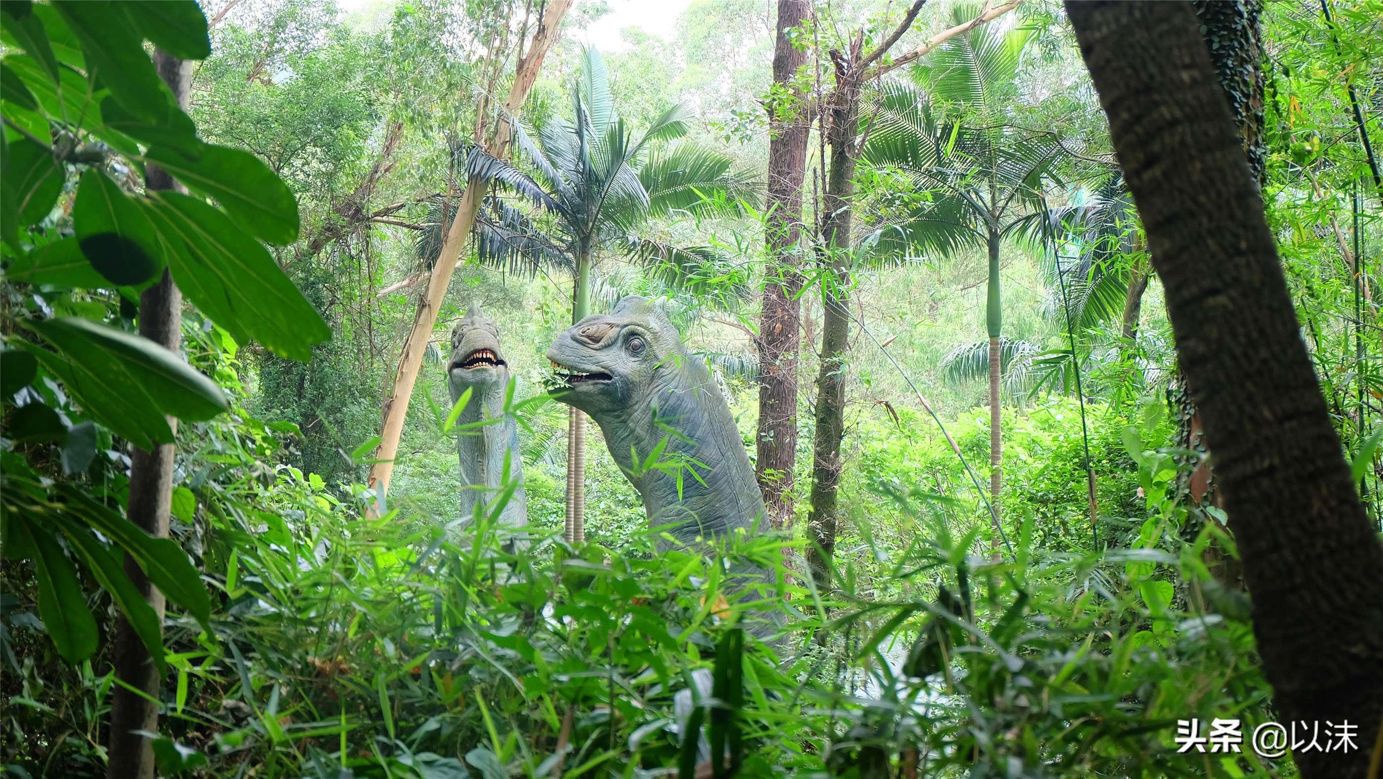 长隆野生动物世界游玩攻略,长隆野生动物世界带娃攻略