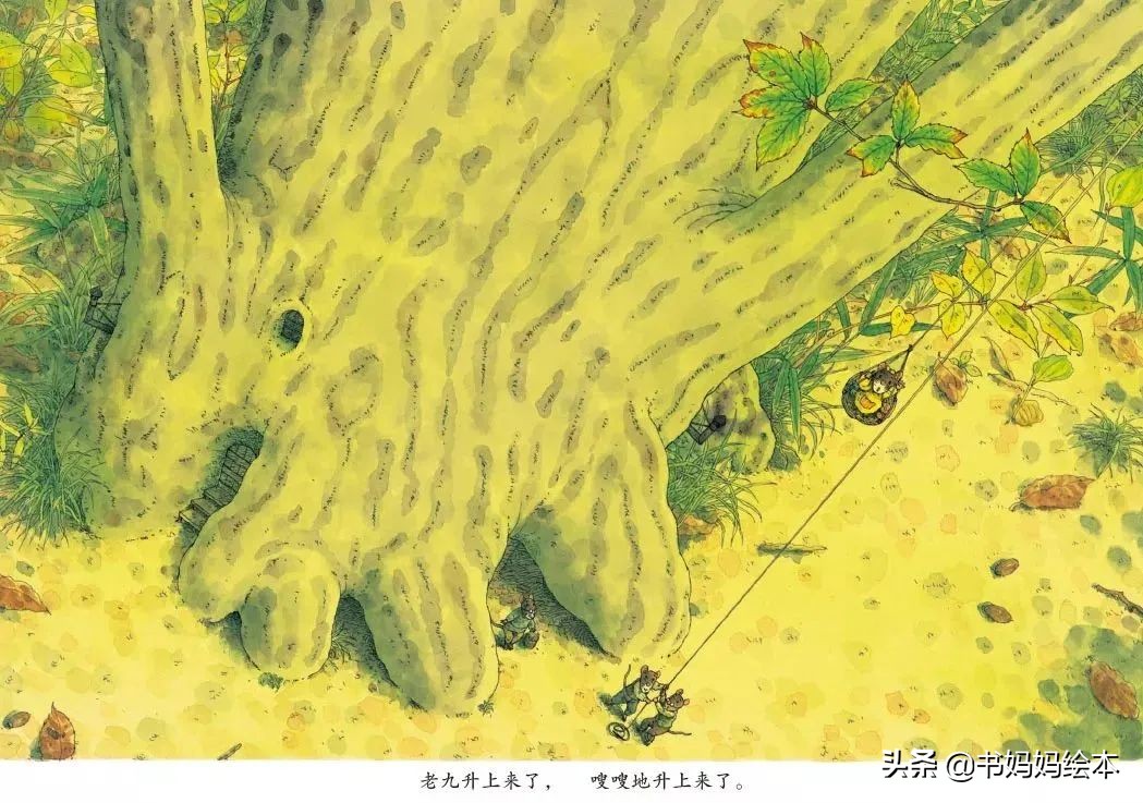 绘本中国传统节日里的故事中秋节,关于中秋节的中国原创绘本