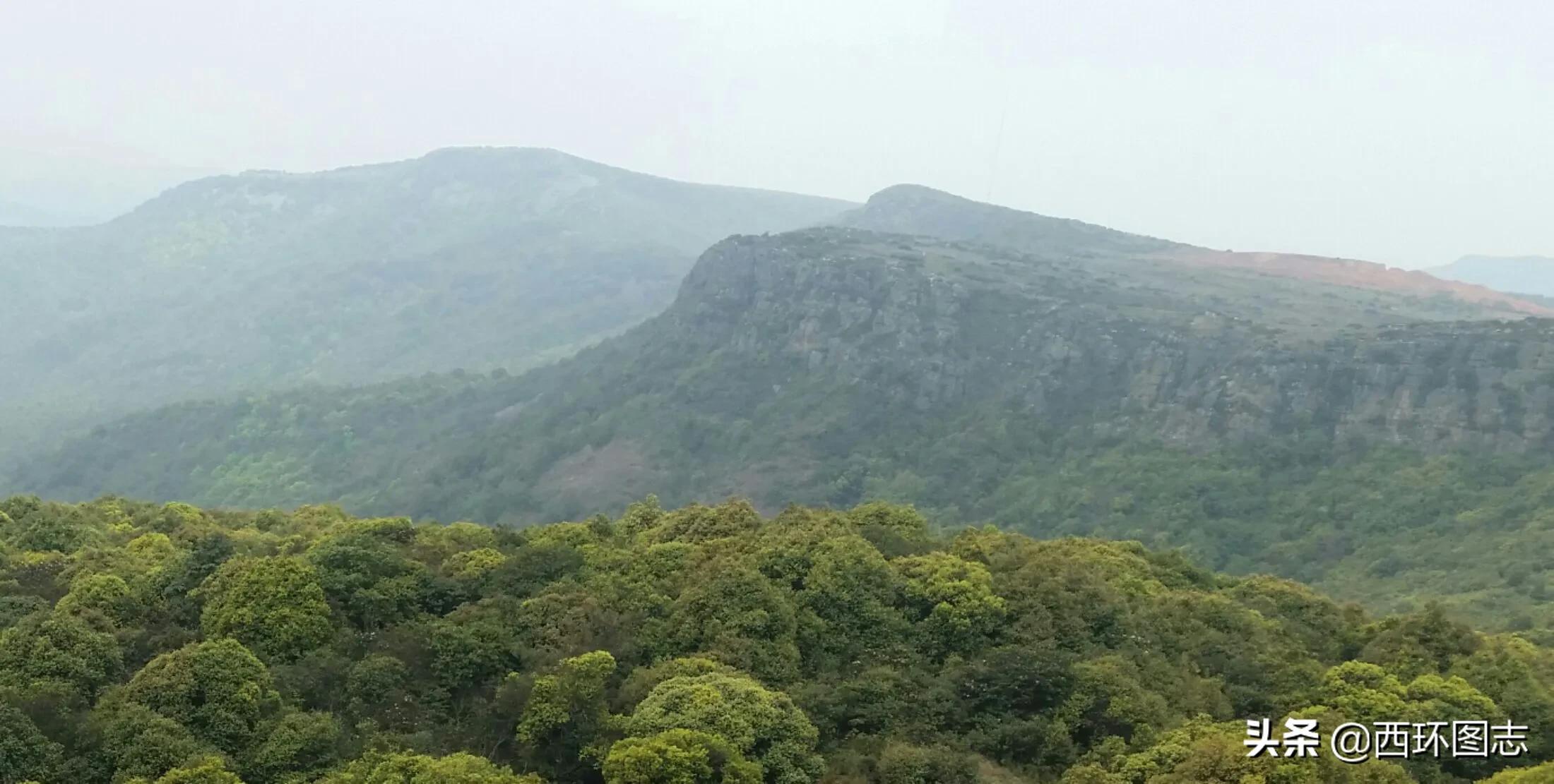 曲靖麒麟区海拔高度是多少,云南曲靖会泽县海拔多少米