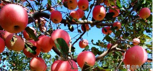 大连有哪些本地人知道的特产,大连特色农产品介绍