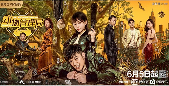 动物管理局的隐藏痛点,动物管理局详细分析