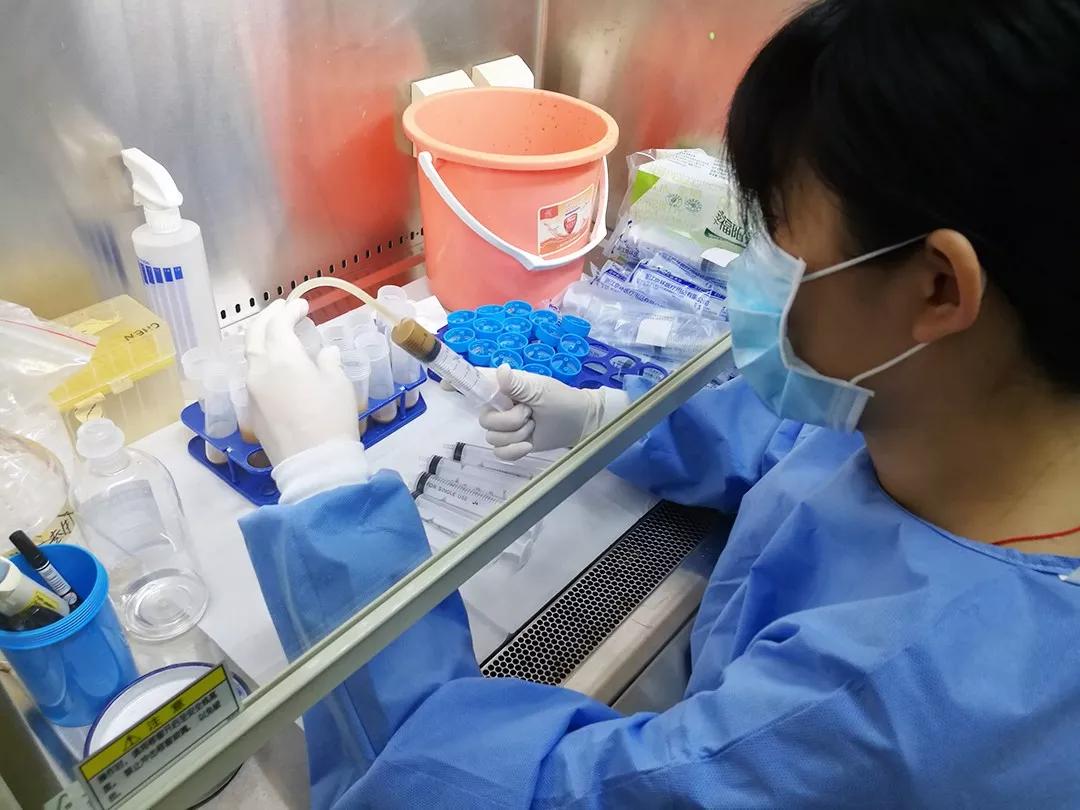 “吃屎”吗?能治病