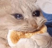 皮肤出油怎么办三招还你清爽肌肤,皮肤出油长痘怎么控油