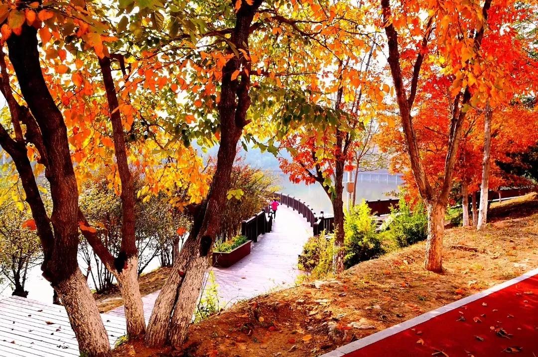 辽宁省高校(三十二)大连外国语大学