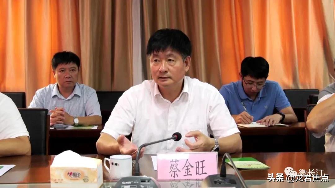 不断提升农产品附加值,闽西长汀县槟榔芋基地