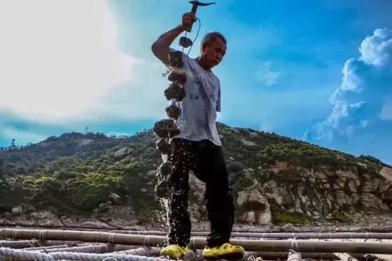 双十一民宿打折吗,双11秒杀民宿