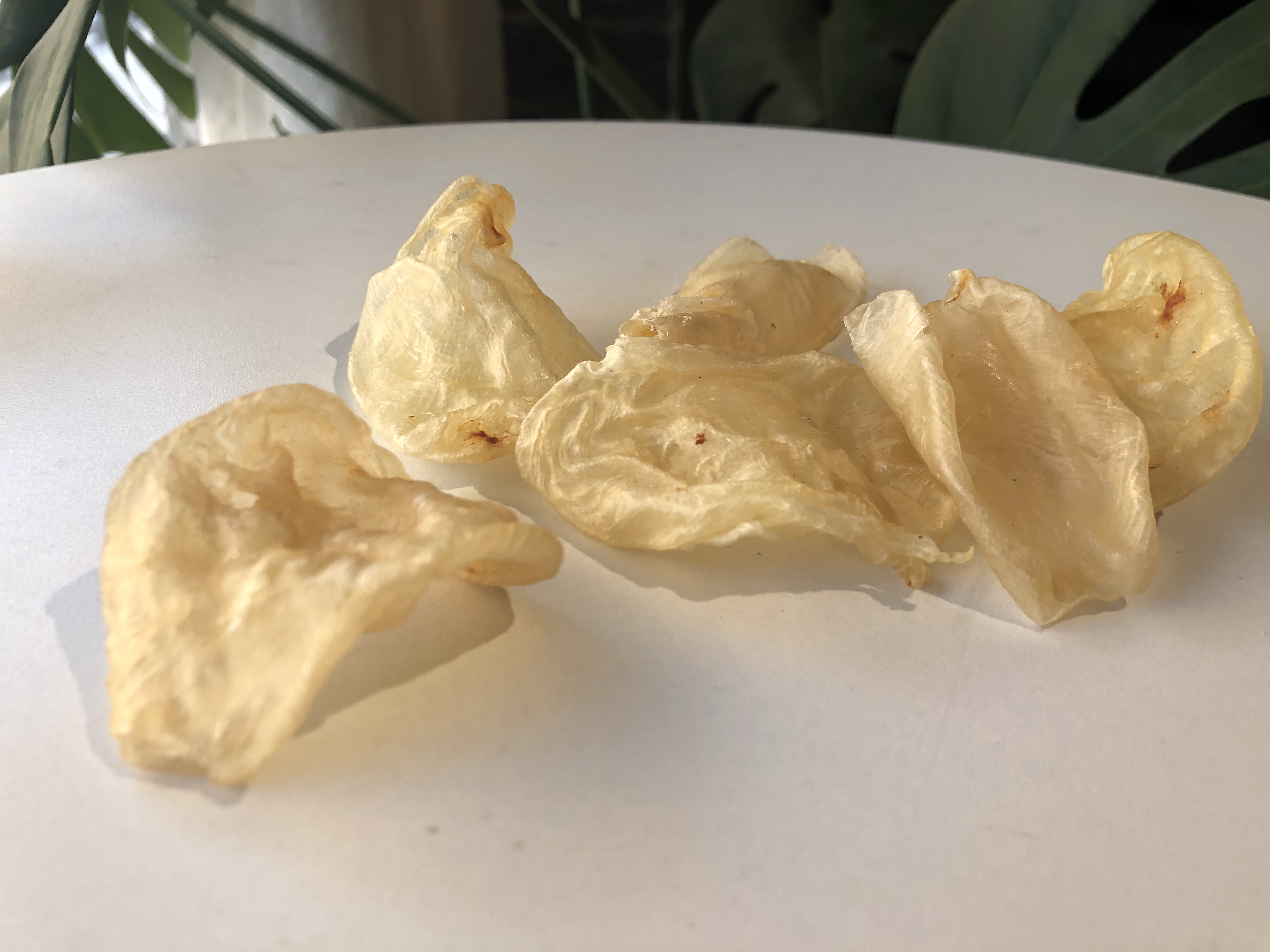 家庭食用哪种黄花胶比较好,官栈轻食花胶和即食花胶区别