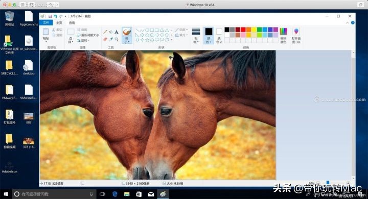 mac如何彻底删除vm虚拟机,mac安装vm虚拟机无法开启