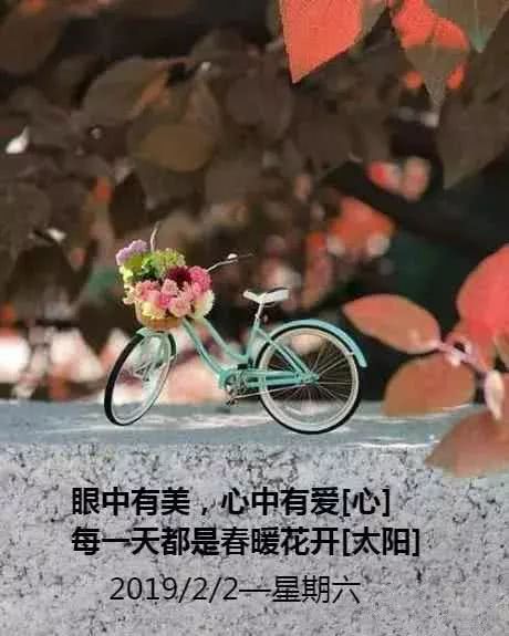 生活感悟的经典句子句句精辟,2019每日语录人生感悟