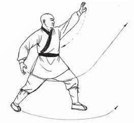 鹰抓鸟全过程,鹰爪的用法