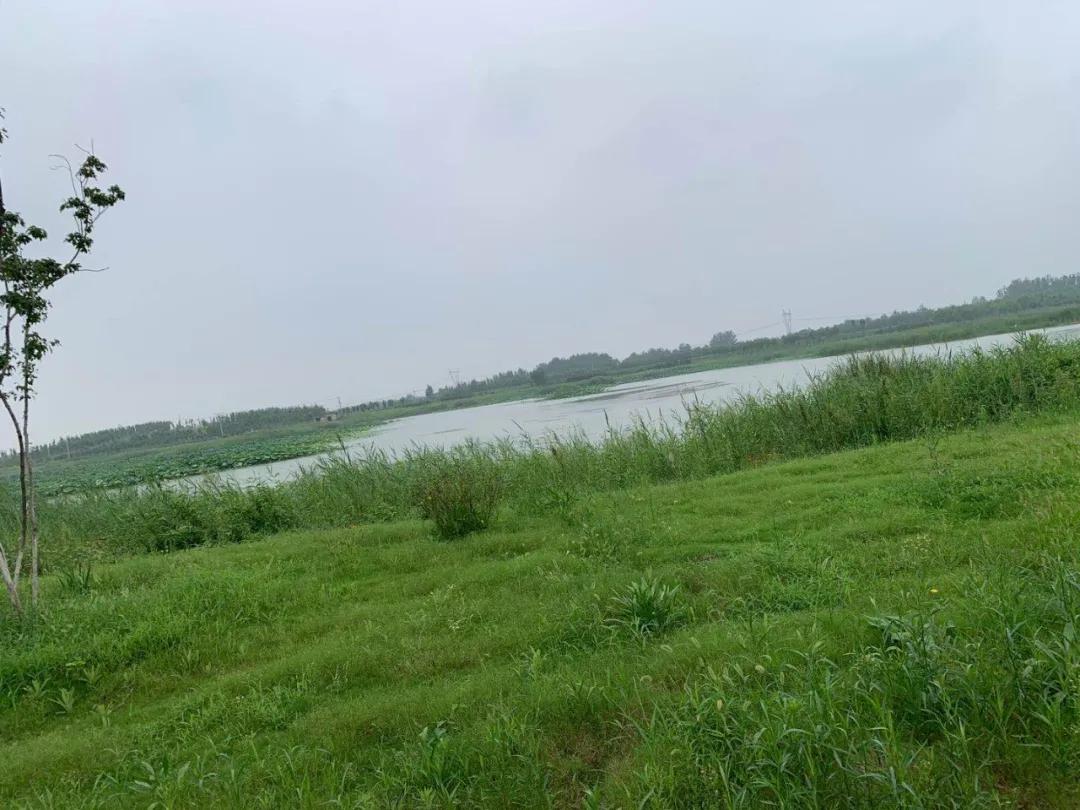 淄博慢城旅游攻略,淄博慢城