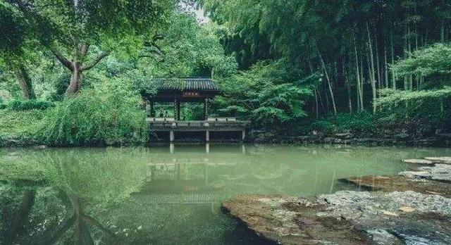 原道：奇点与自然——一个超硬核化生的宇宙