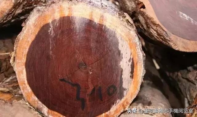 青檀绿檀紫檀红檀黑檀,紫檀白檀黑檀绿檀到底是什么木头