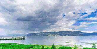 雨水花园植物区,雨水花园水生植物