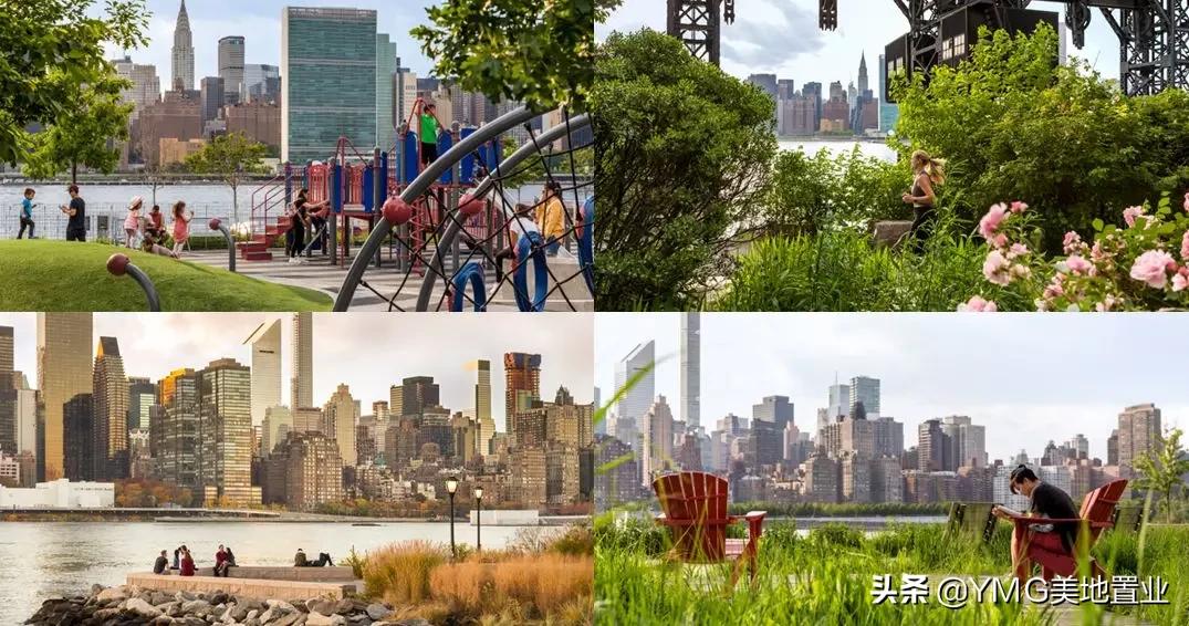 纽约市科普,纽约时报科普