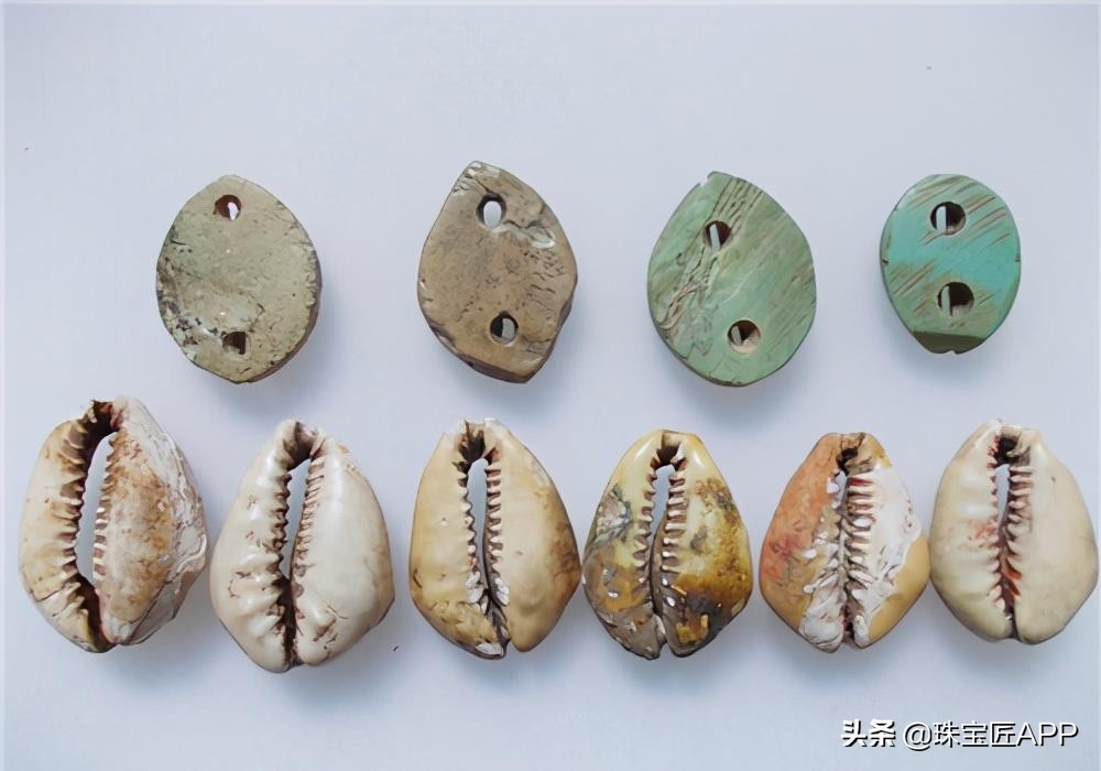 什么贝壳可以做成珠子,什么贝壳可以磨珠子