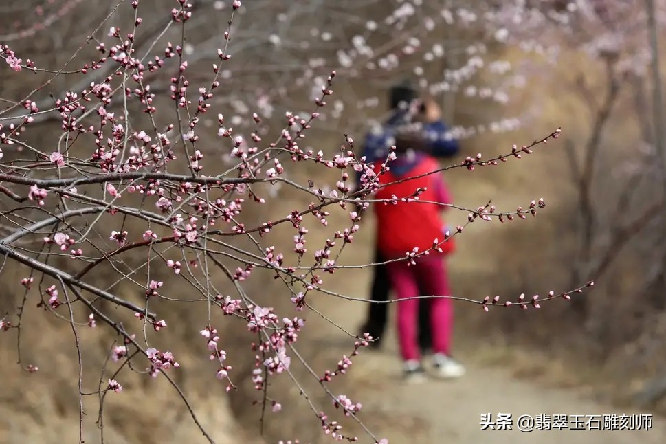 为了三百块钱，我很后悔骗了广州撑伞小姐姐