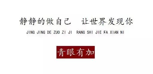 鱼丸小姐的狗年狗事儿︱青眼有加